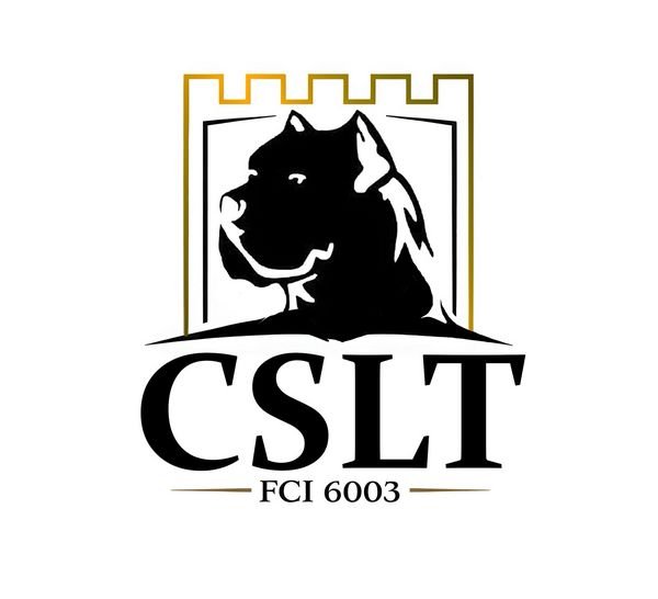 Cane Corso štenci