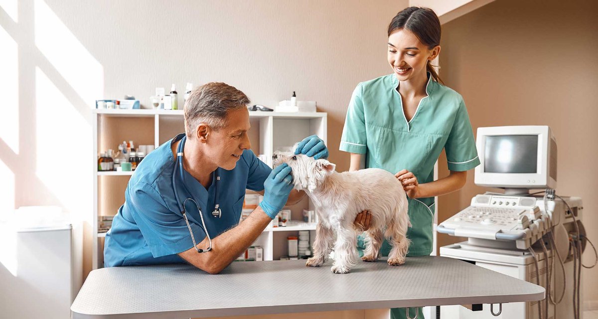 Zašto je redovan veterinarski pregled toliko važan